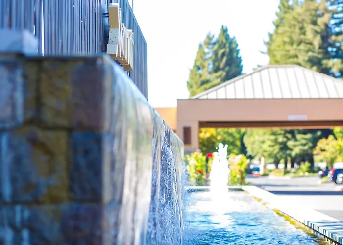Napa Valley Marriott Hotel & Spa